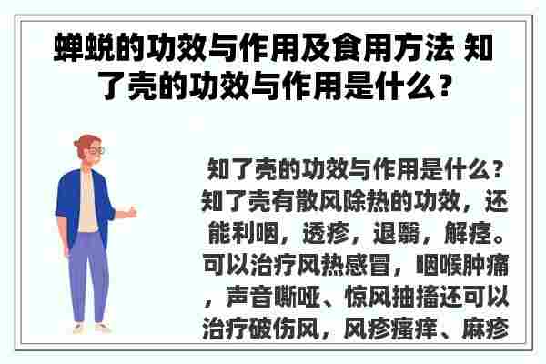 蝉蜕的功效与作用及食用方法 知了壳的功效与作用是什么？